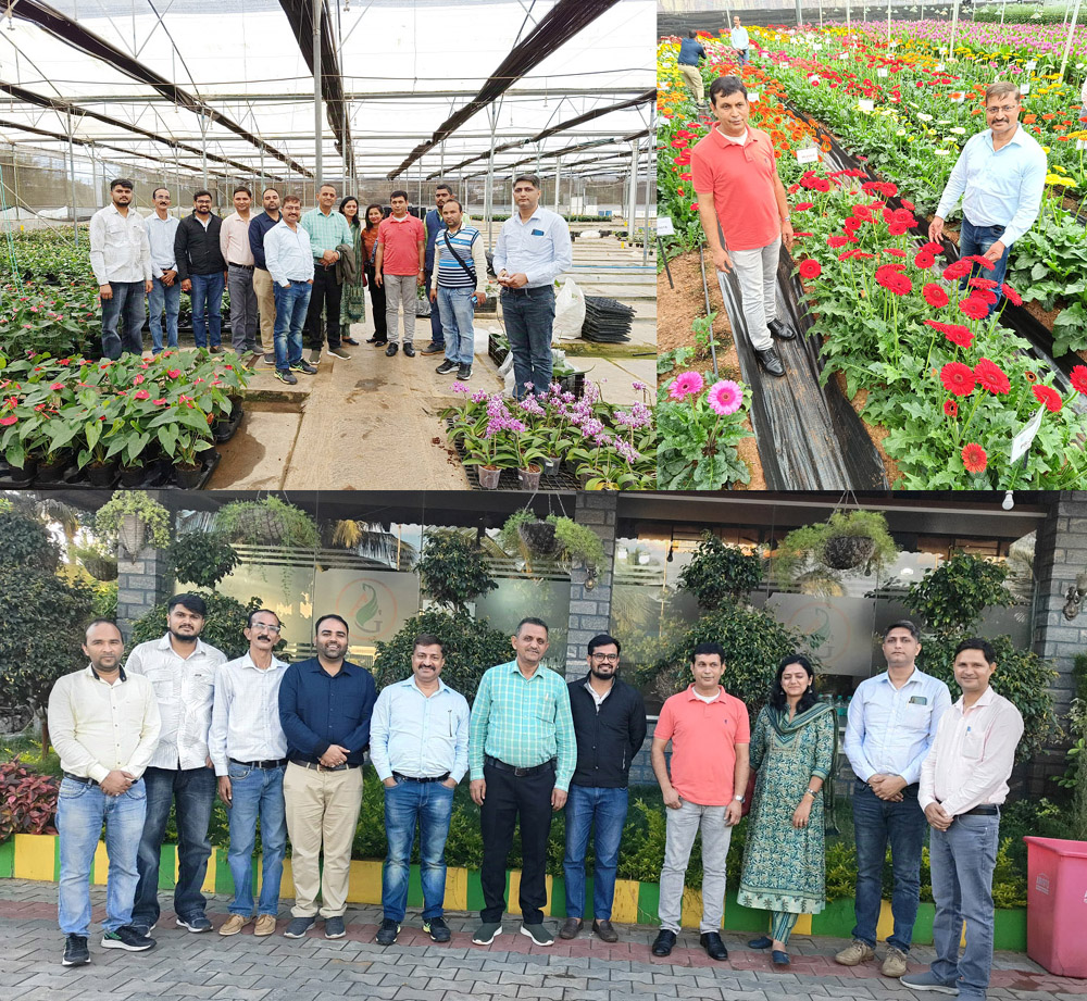 A team of horticulture officers from Una and Hamirpur reached Bengaluru and discussed the possibilities of cultivation of gerbera flowers in Himachal